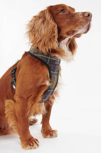 Barbour Accessoires pou Kaki