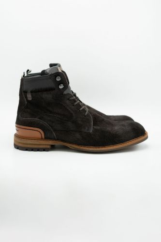 Floris Van Bommel Homme bottine Brun