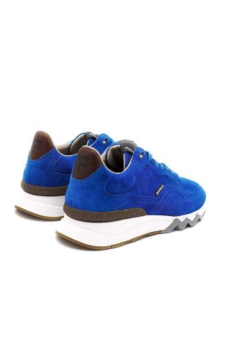 Floris Van Bommel Homme basket bas Bleu vif hommes (semelle >>> bleu  - 10136-40 bleu roy) - Marine | Much more than shoes