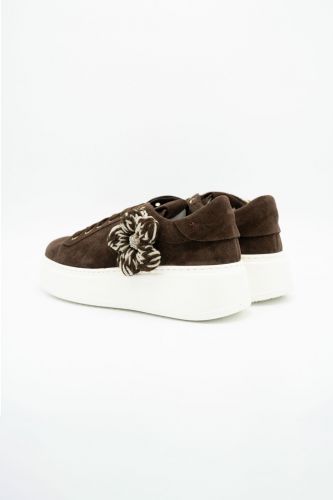 GIO+ basket bas Brun femmes (brun fleurs - PIA marron fleurs) - Marine | Much more than shoes