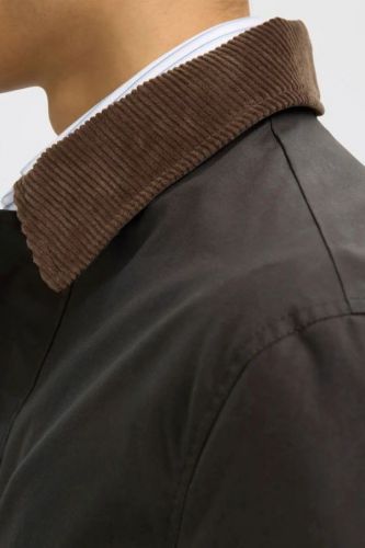 Selected  Homme manteau Vert hommes (Veste coton wax avec col velours vert - WALTER grape leaf) - Marine | Much more than shoes