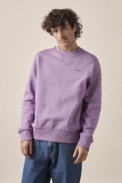 Antwrp sweat  Viola