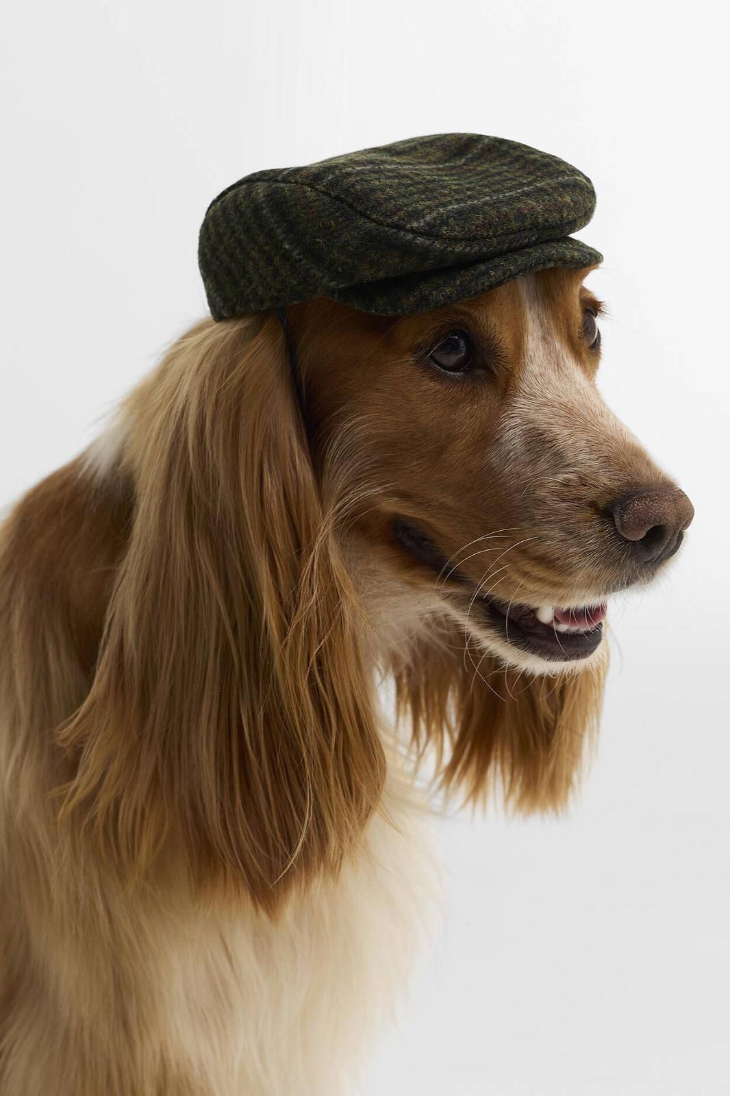 Barbour Accessoires pou Vert