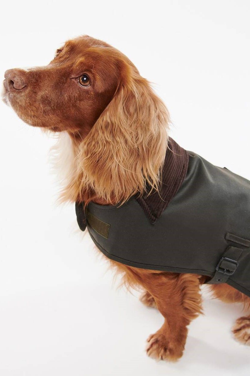 Barbour Kaki Barbour Kaki