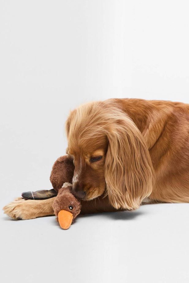 Barbour Carreaux Barbour Carreaux